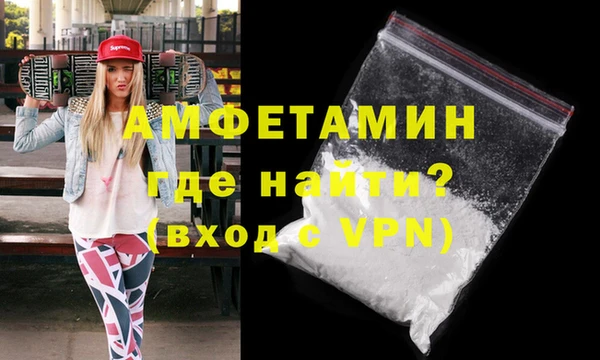 твердый Бородино