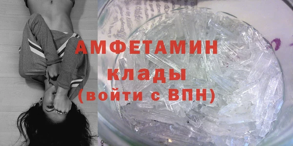 твердый Бородино